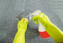 How to Remove Urine Smell from Carpets: Handling Pet Mishaps the Right Way